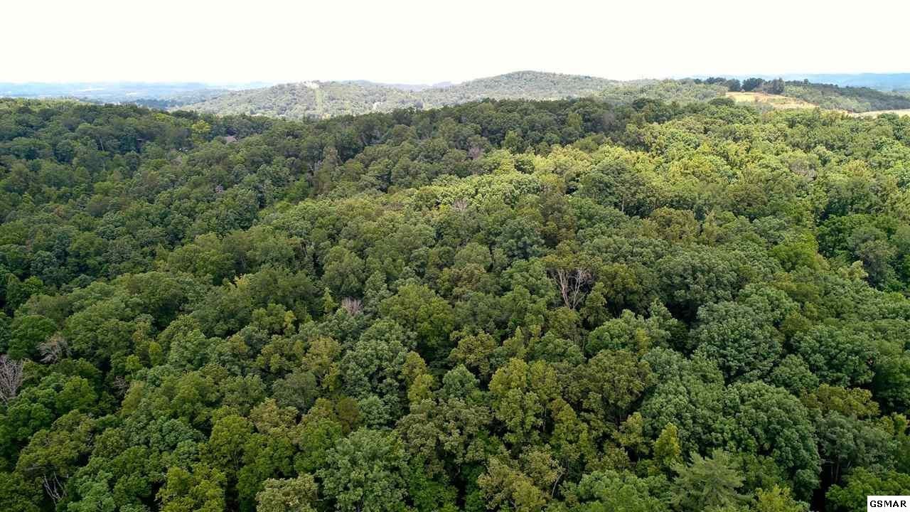 18 Sierra Road Newport, TN 37821 - Photo 13 of 18 Gallery Image 13