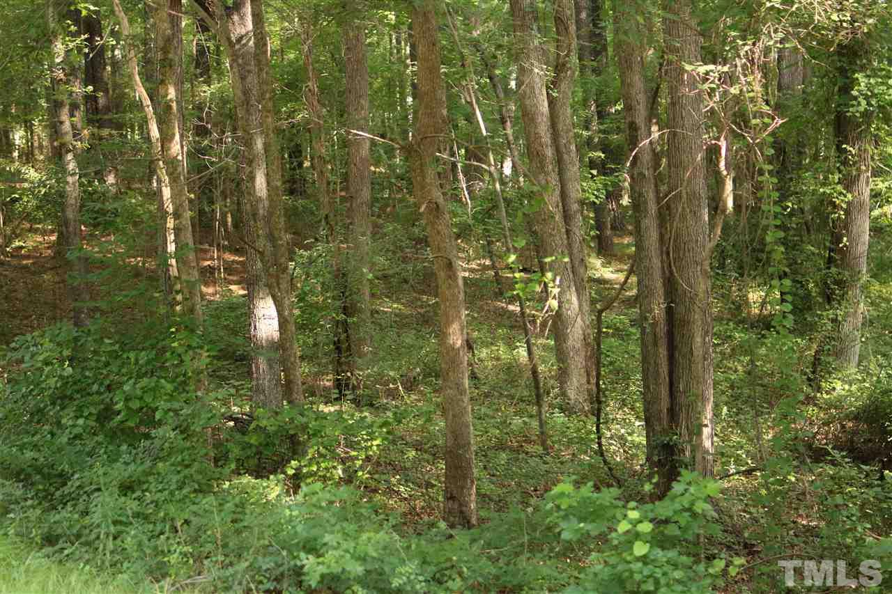 Coley Road Creedmoor, NC 27522 - Photo 3 of 12 Gallery Image 3