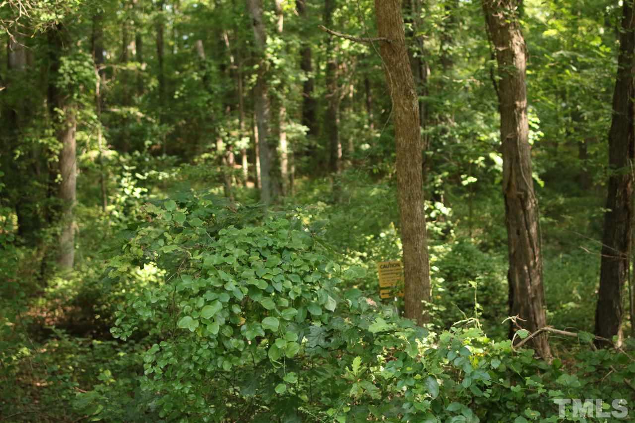 Coley Road Creedmoor, NC 27522 - Photo 4 of 12 Gallery Image 4