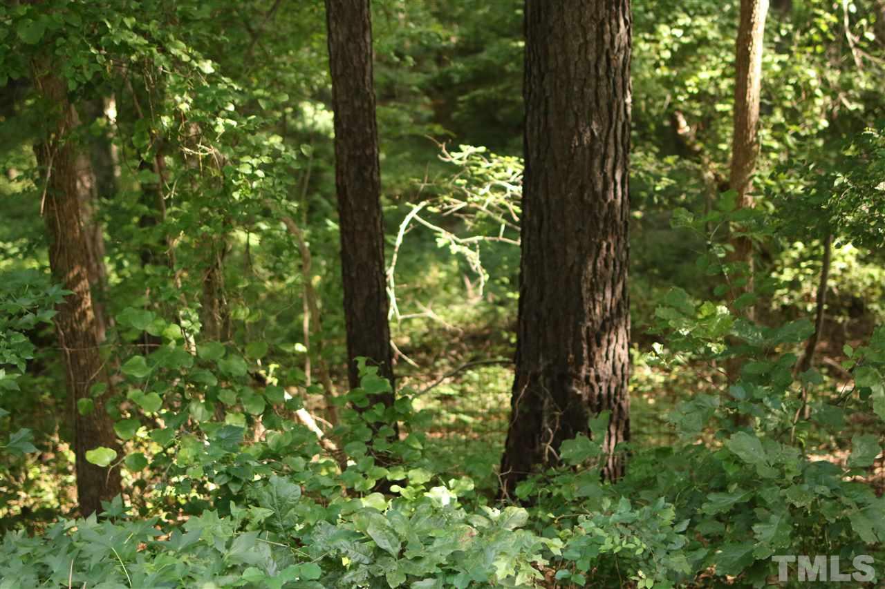 Coley Road Creedmoor, NC 27522 - Photo 6 of 12 Gallery Image 6