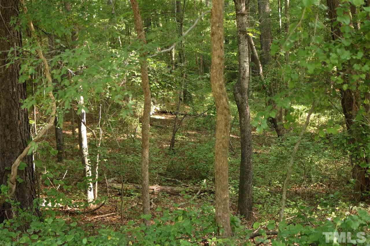 Coley Road Creedmoor, NC 27522 - Photo 7 of 12 Gallery Image 7