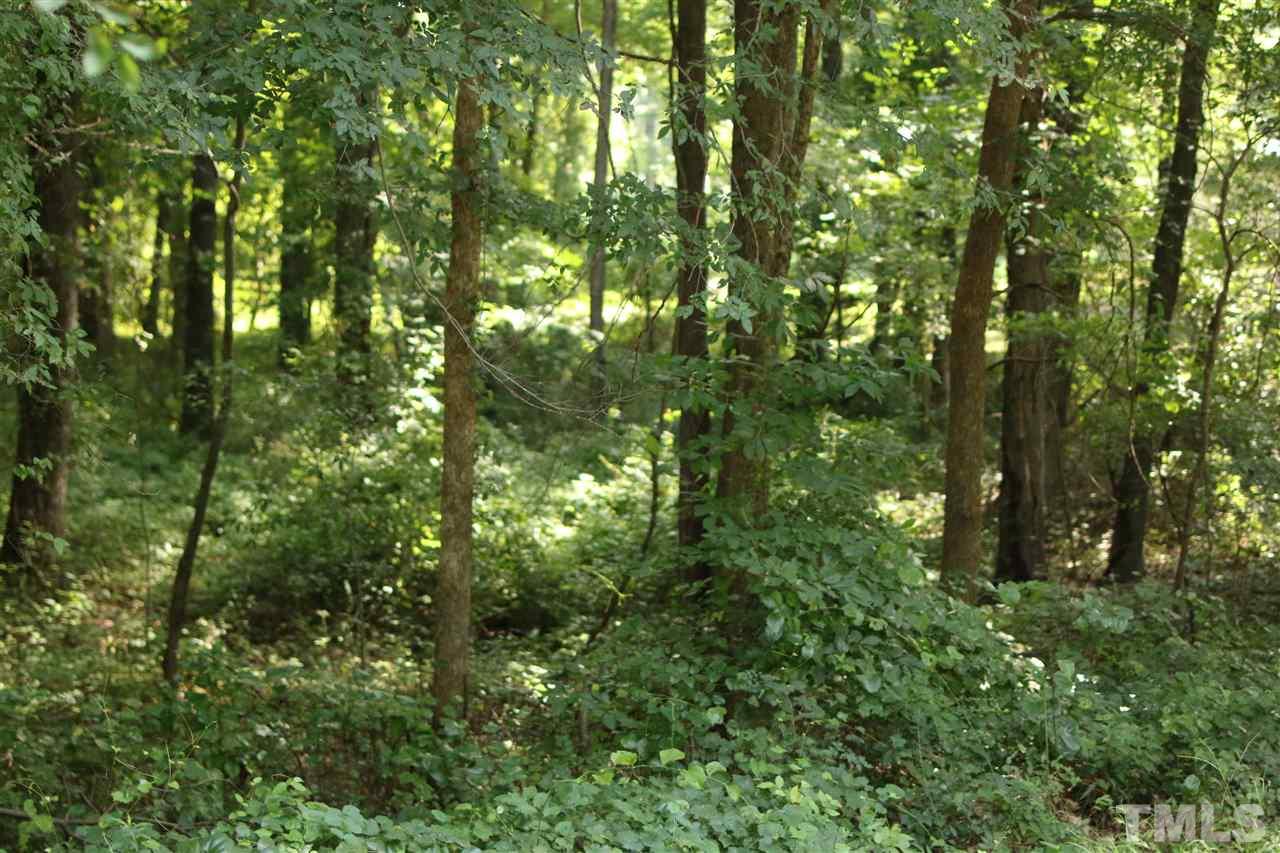 Coley Road Creedmoor, NC 27522 - Photo 8 of 12 Gallery Image 8