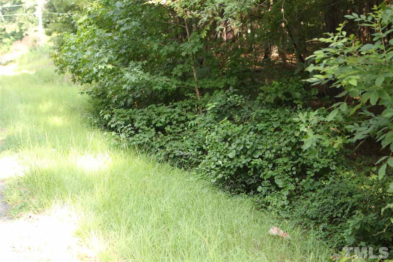 Coley Road Creedmoor, NC 27522 - Photo 10 of 12 Gallery Image 10