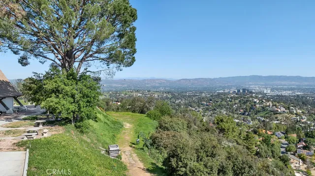 a view of a green field with lots of bushes