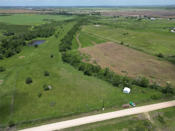 a view of a big yard with potted plants