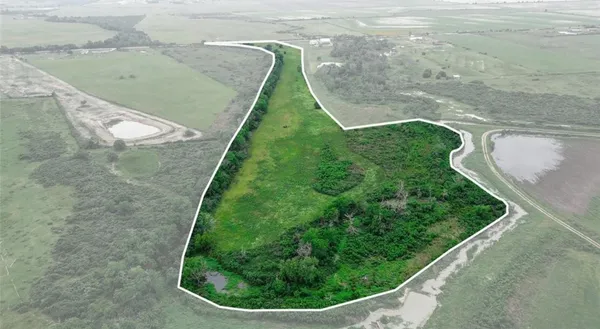 a view of a bird bath