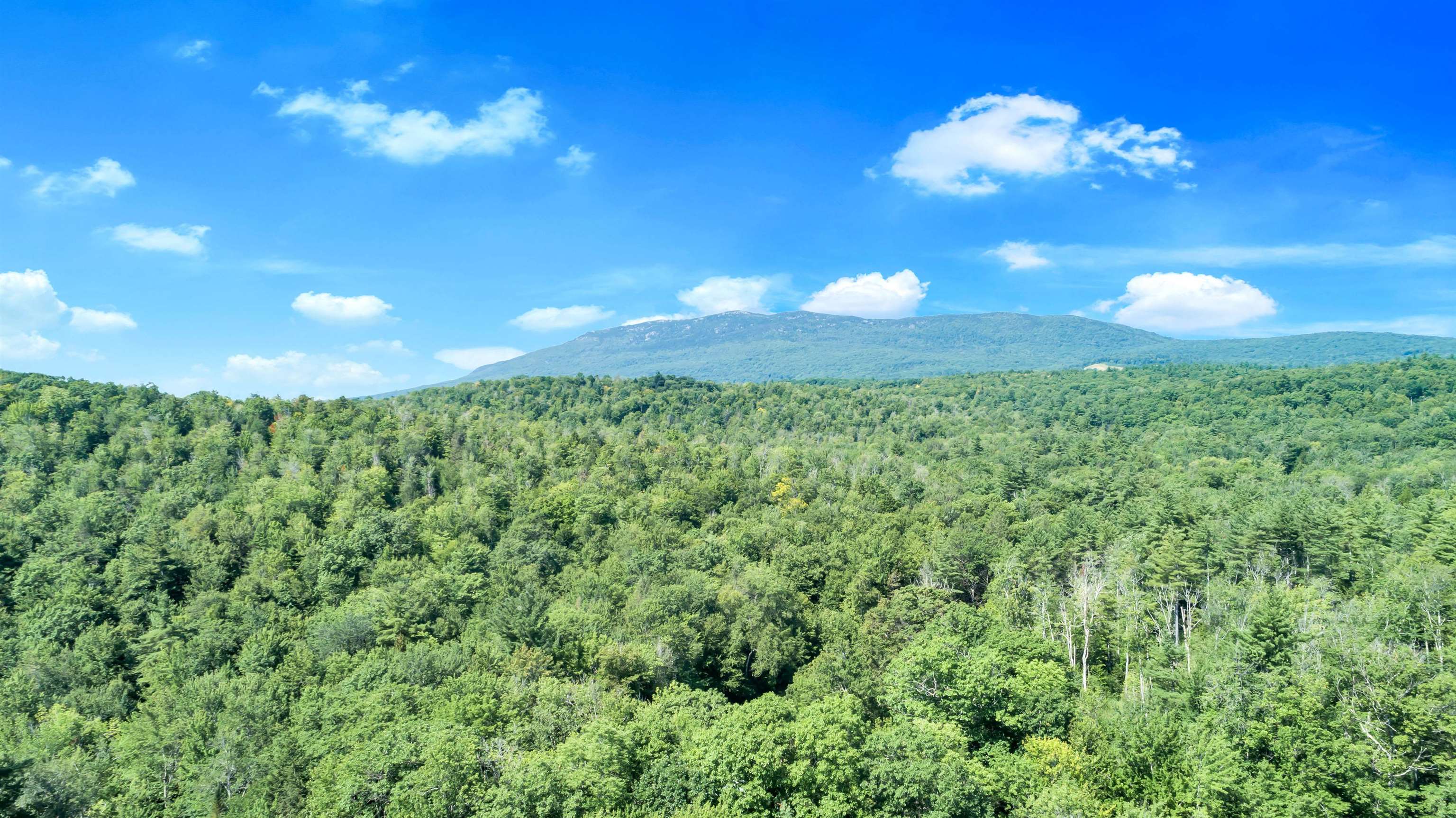 151 Page Road Dublin, NH 03444 - Photo 39 of 40