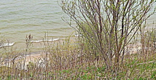 0 Pier Road, Unit LOT 3 Coloma, MI 49038 - Photo 3 of 5