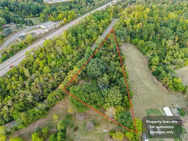 a view of a garden with a tree