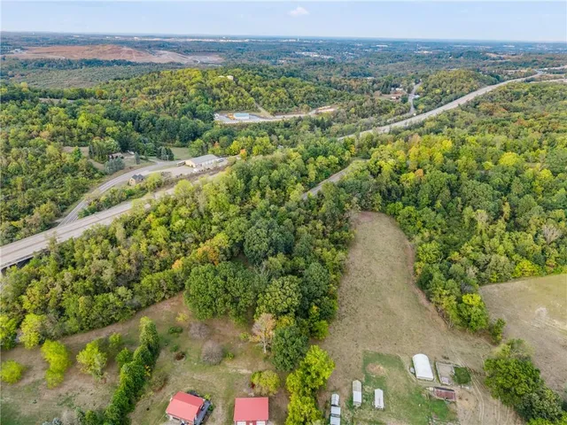 a view of a city with lush green forest