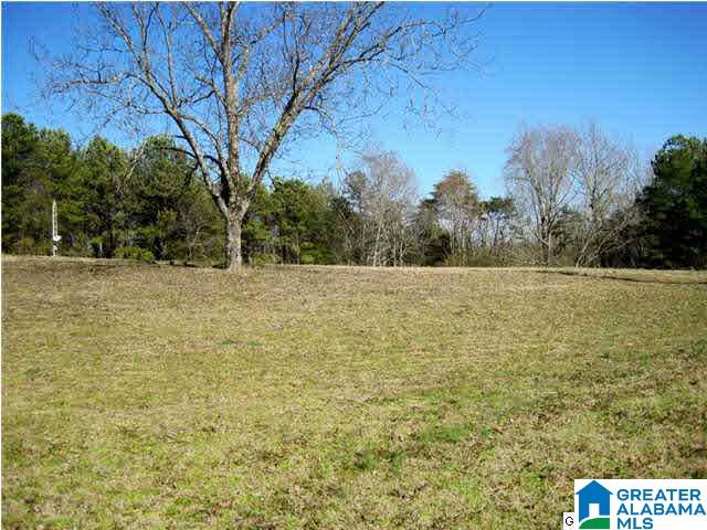 1551 Hagood Mtn Road Morris, AL 35116 - Photo 15 of 32