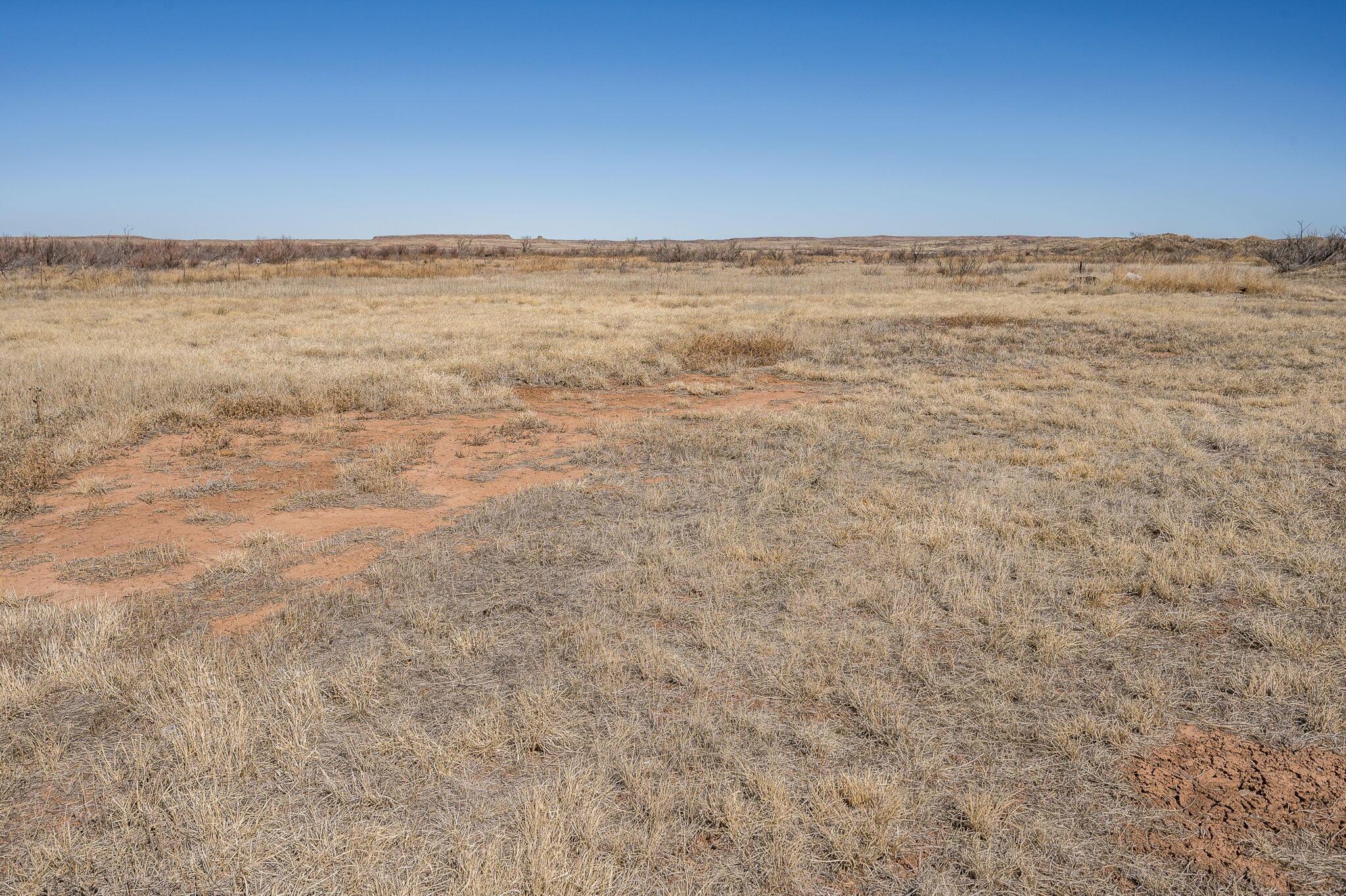 21600 Grandview Road Amarillo, TX 79124 - Photo 21 of 34 Back Yard-2