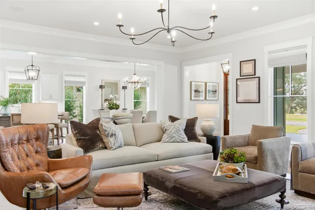 a view of a backyard with plants and large trees