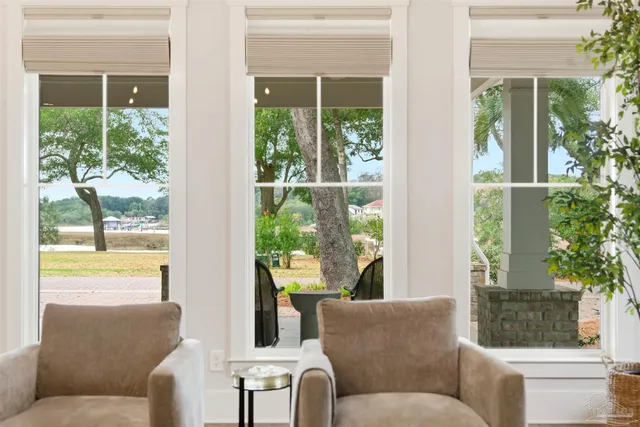 a view of a yard with plants and large trees