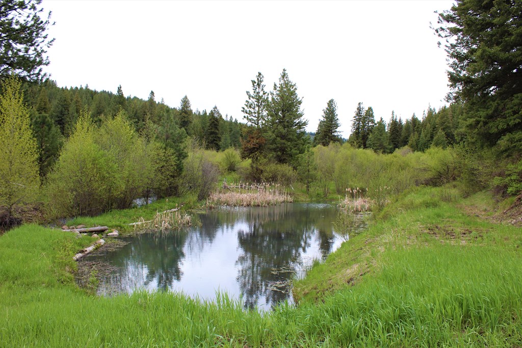 2950 Fish Lake Road New Meadows, ID 83654 - Photo 47 of 57