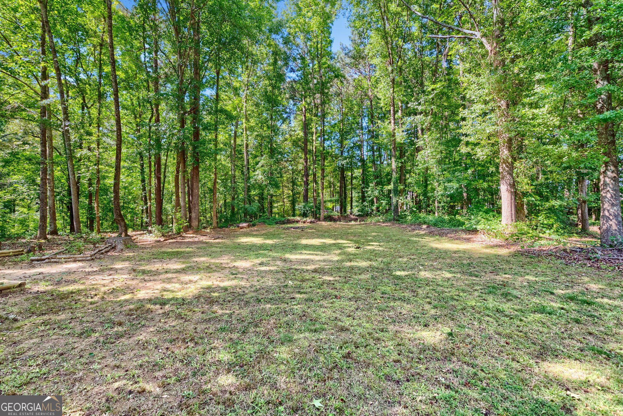 1209 North Hampton Drive Hampton, GA 30228 - Photo 25 of 26 Back Yard .6 Acres