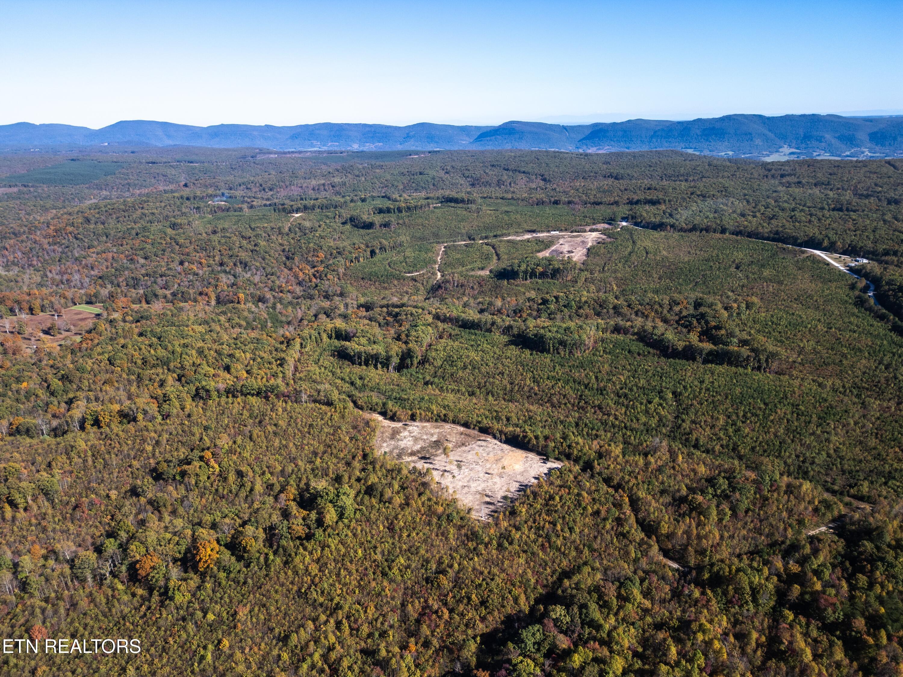 Davis Road Pikeville, TN 37367 - Photo 11 of 14 DJI_0029