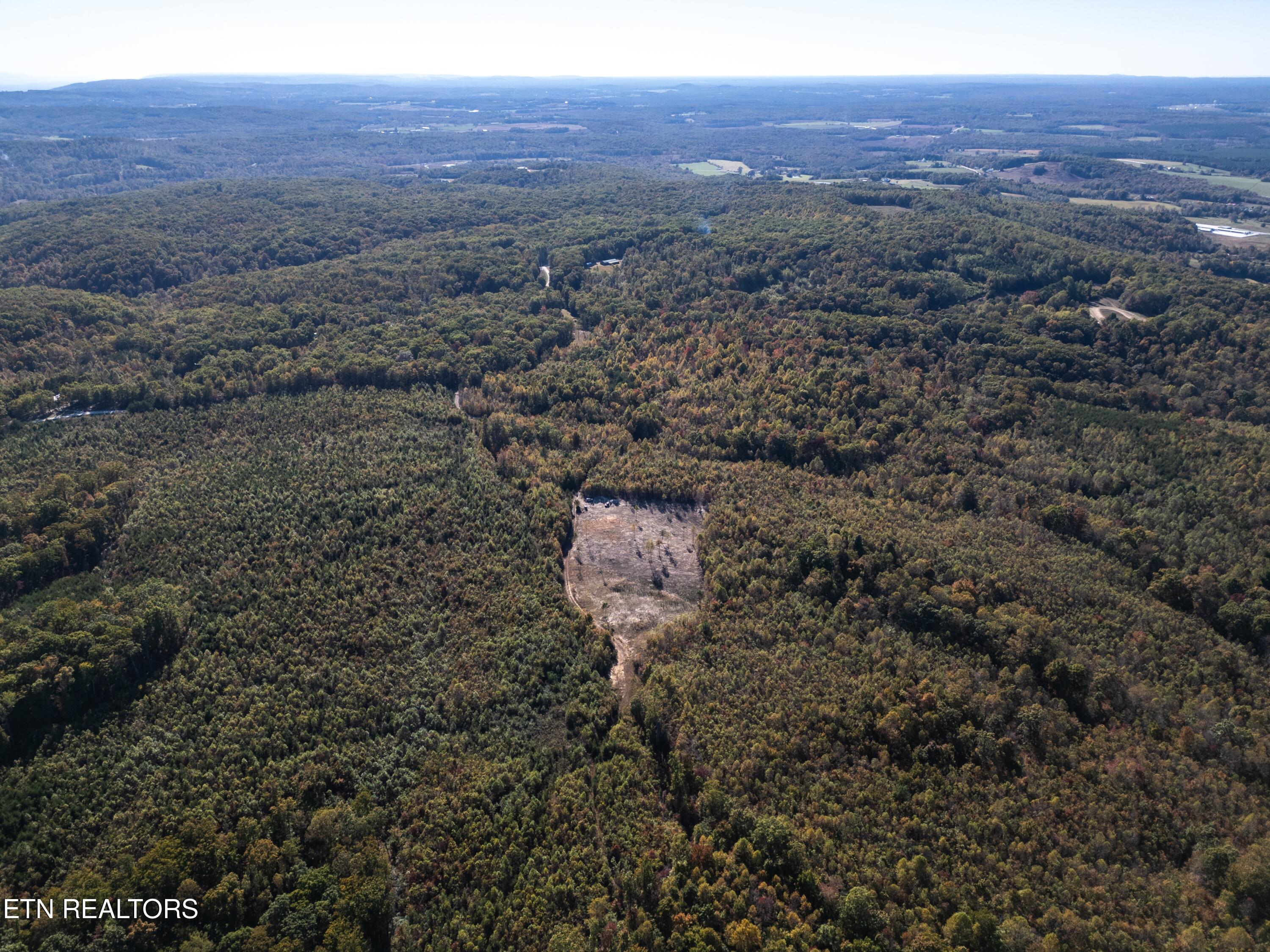 Davis Road Pikeville, TN 37367 - Photo 12 of 14 DJI_0022