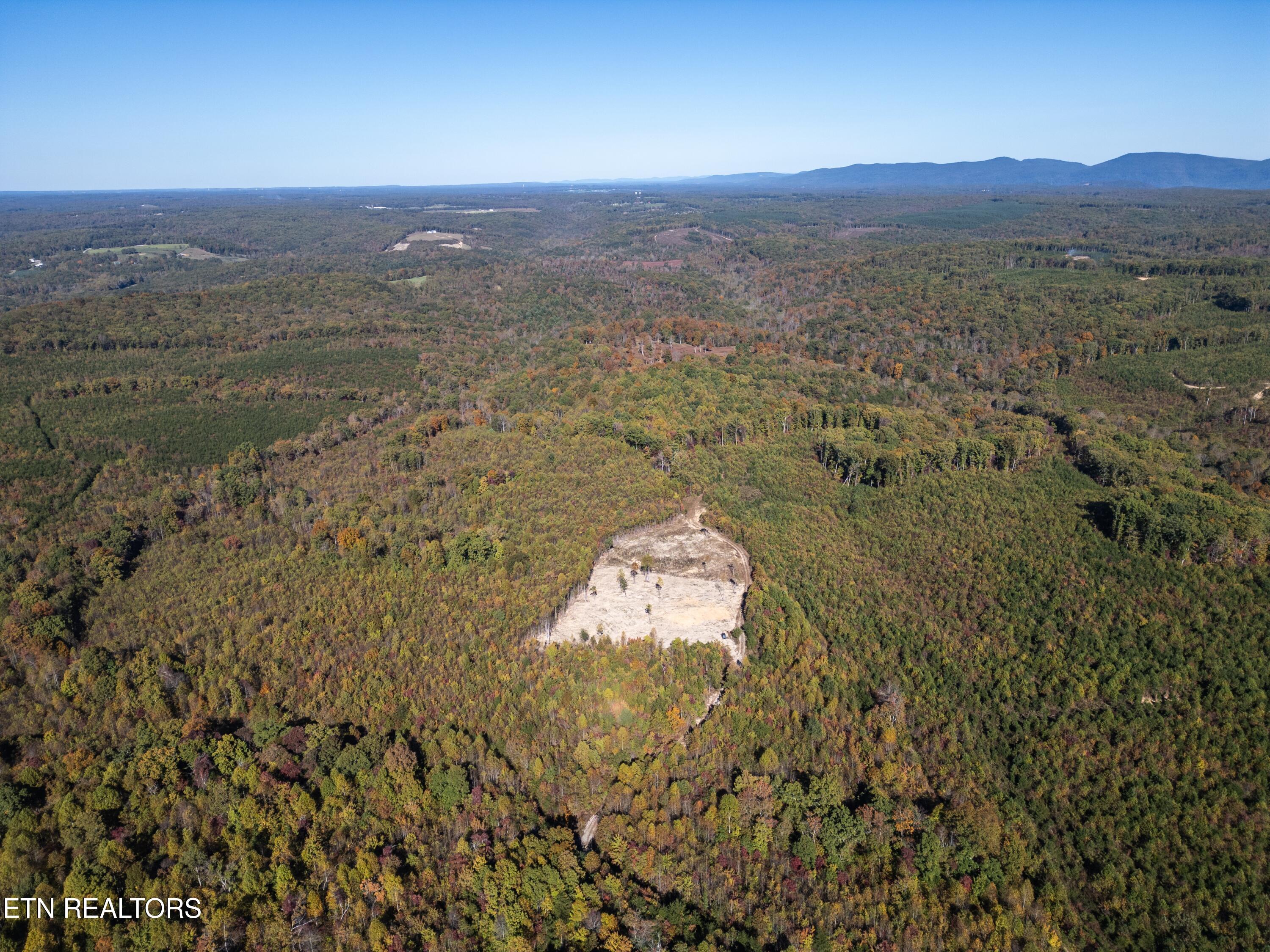 Davis Road Pikeville, TN 37367 - Photo 13 of 14 DJI_0035