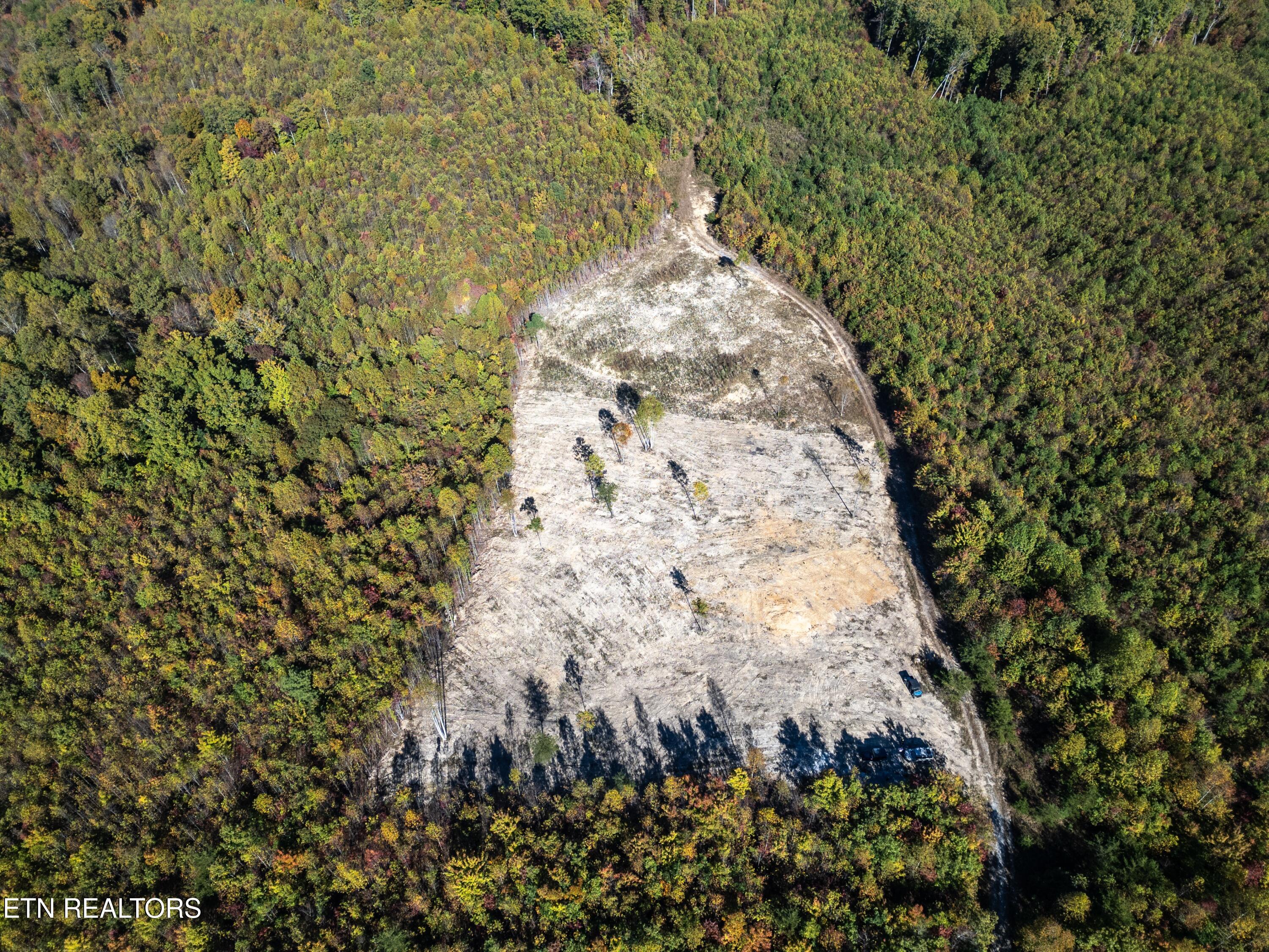 Davis Road Pikeville, TN 37367 - Photo 14 of 14 DJI_0015