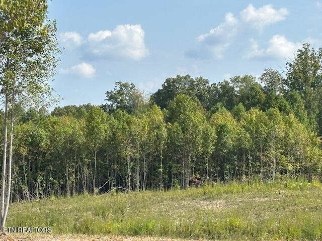 Davis Road Pikeville, TN 37367 - Photo 3 of 14 IMG_8932