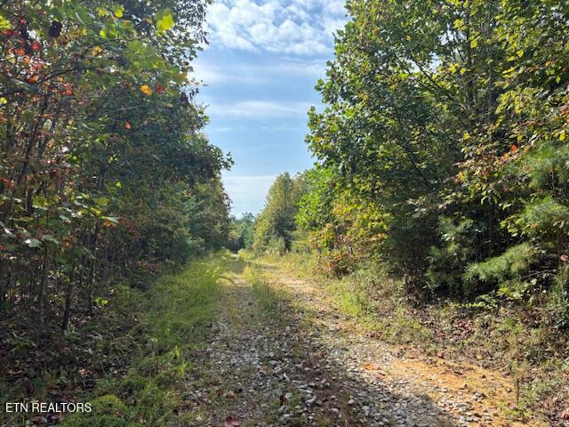 Davis Road Pikeville, TN 37367 - Photo 4 of 14 IMG_8935