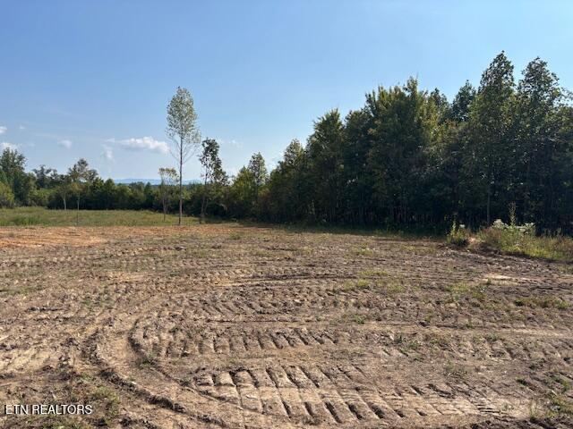 Davis Road Pikeville, TN 37367 - Photo 6 of 14 IMG_8930