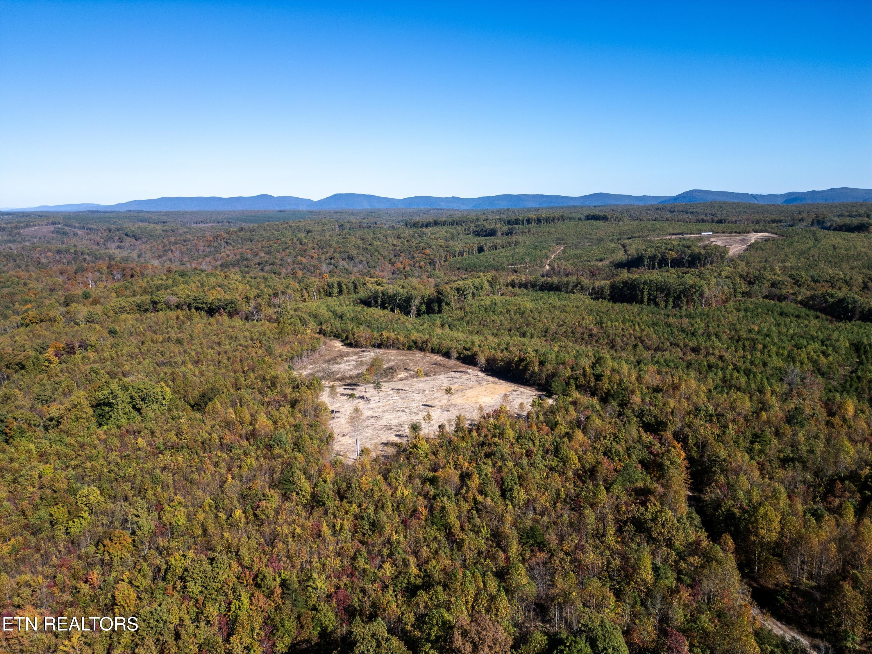 Davis Road Pikeville, TN 37367 - Photo 7 of 14 DJI_0002