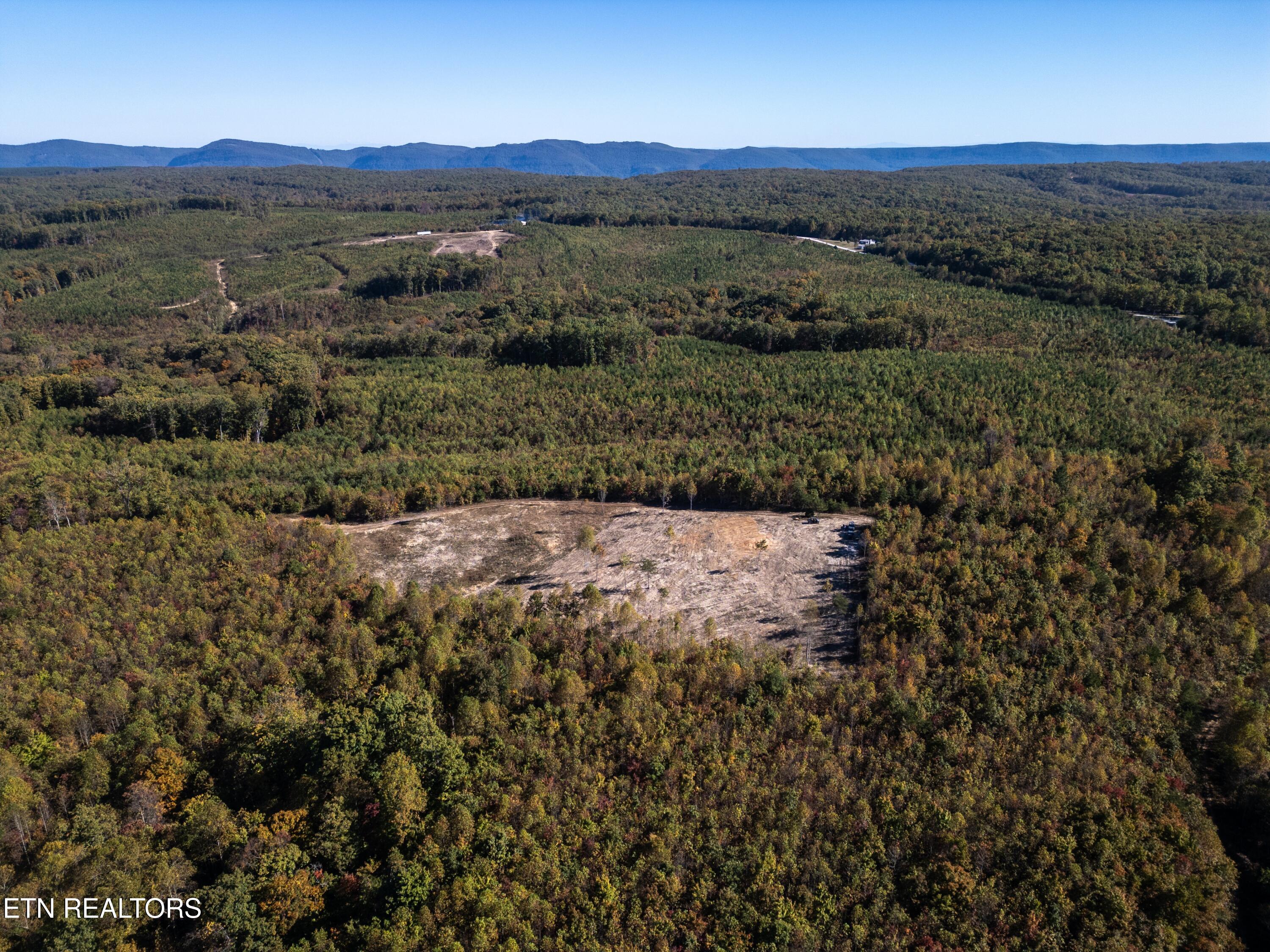 Davis Road Pikeville, TN 37367 - Photo 8 of 14 DJI_0008
