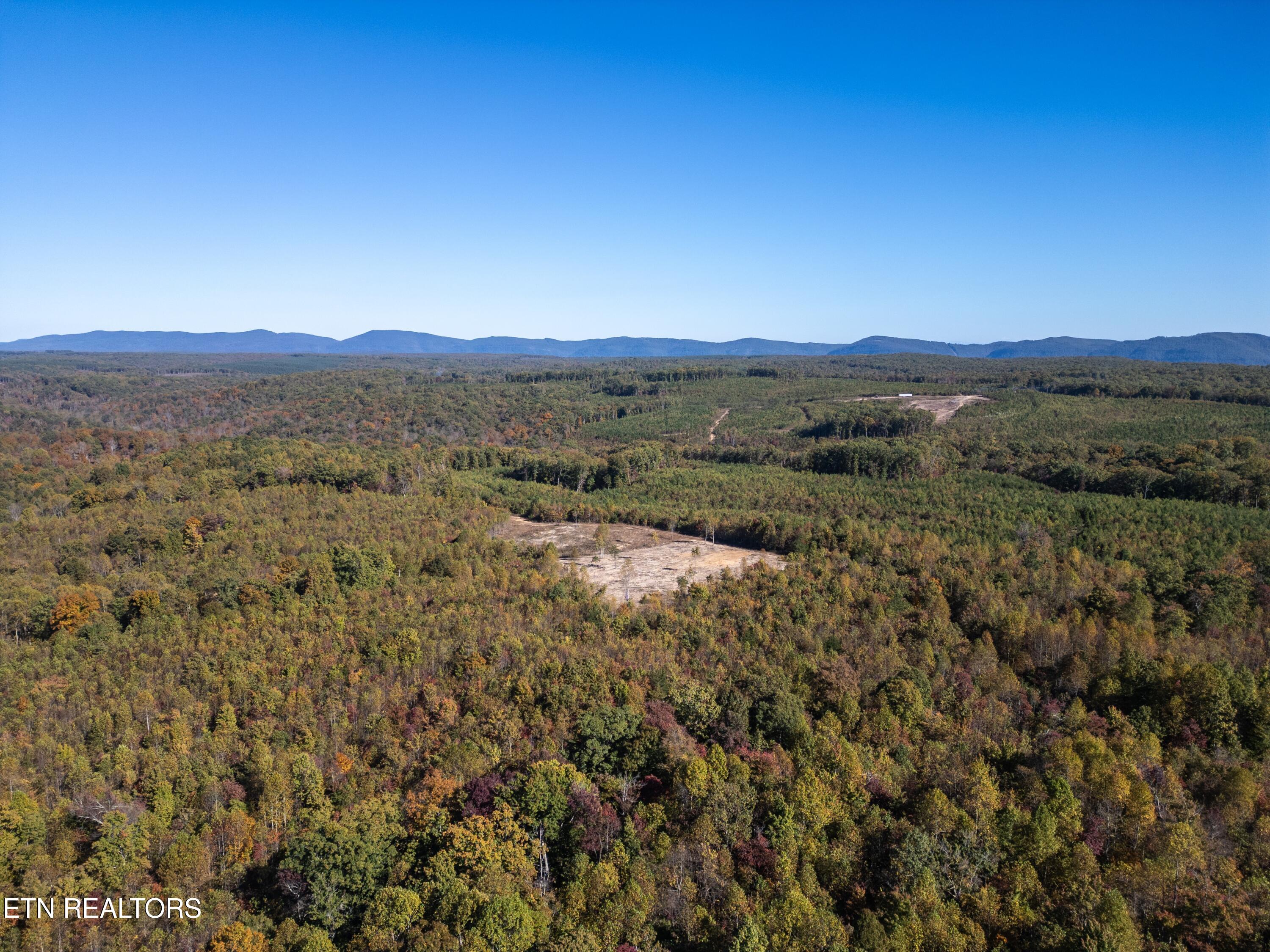 Davis Road Pikeville, TN 37367 - Photo 10 of 14 DJI_0013