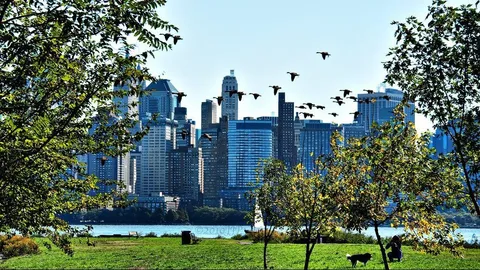 $699,000 | 105 Greene Street, Unit 1001, Jersey City, NJ 07302