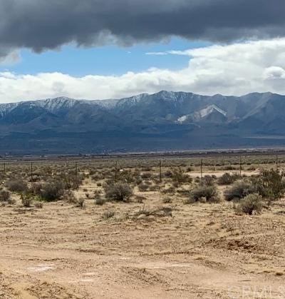 1 Northside Road Lucerne Valley, CA 92356 - Photo 1 of 6