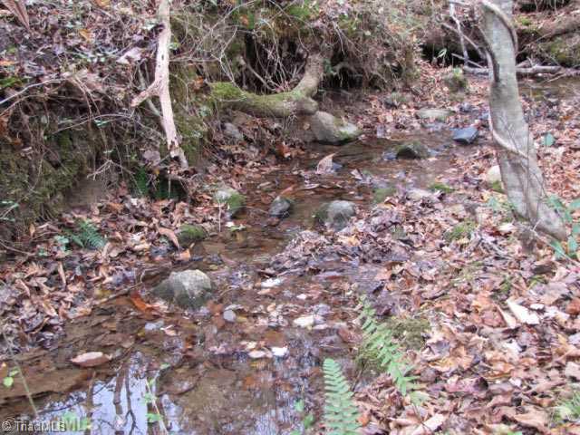 295 New Home Church Road Dobson, NC 27017 - Photo 15 of 16 Other. Small Creek Flows Into Beaver Creek