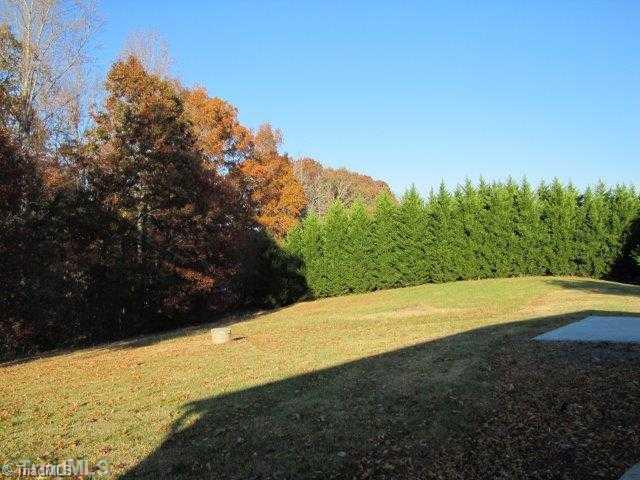 295 New Home Church Road Dobson, NC 27017 - Photo 5 of 16 Land.