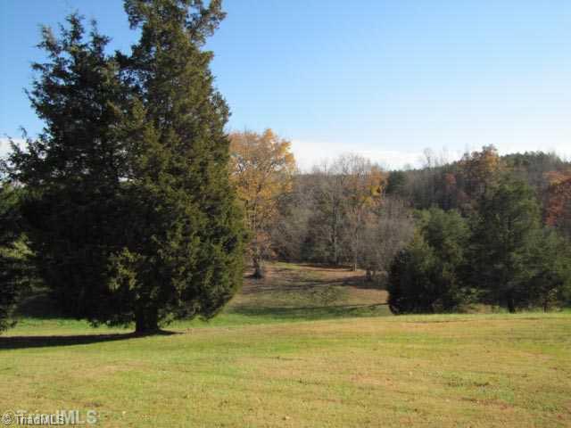 295 New Home Church Road Dobson, NC 27017 - Photo 6 of 16 Land/Lot.