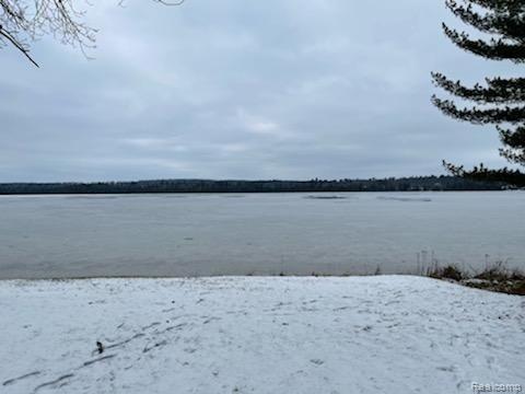 9910 Clewley Road Lachine, MI 49753 - Photo 11 of 12 output (19).jpg