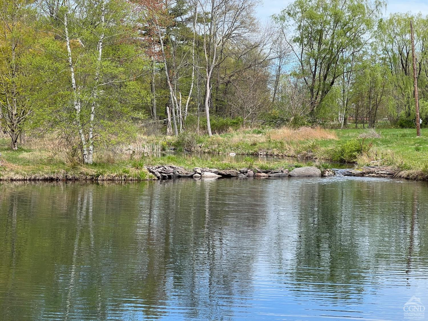 138 Vienna Woods Road Purling, NY 12470 - Photo 4 of 38 Photo 5