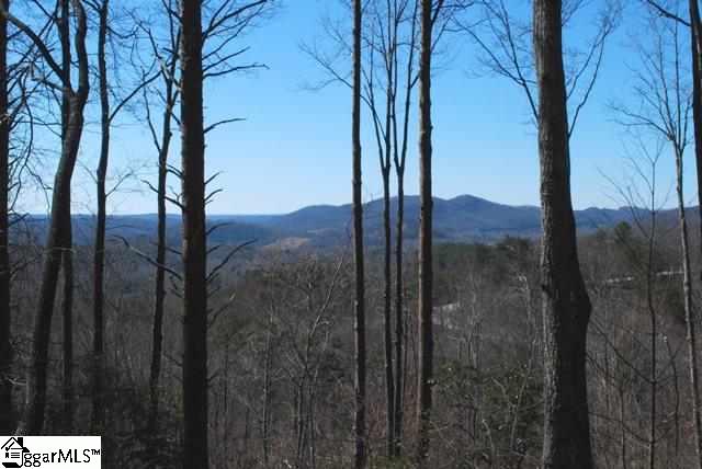 106 Ridge Rock Trail Travelers Rest, SC 29690 - Photo 4 of 4 Gallery Image 4