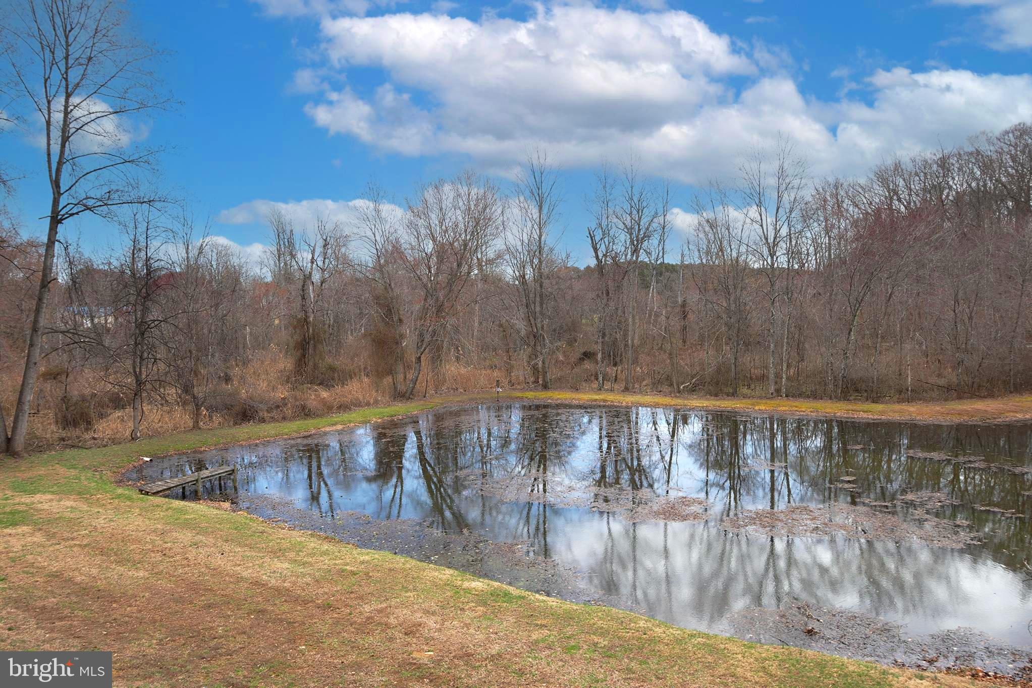8276 Broad Neck Road Chestertown, MD 21620 - Photo 63 of 82 View of the pond