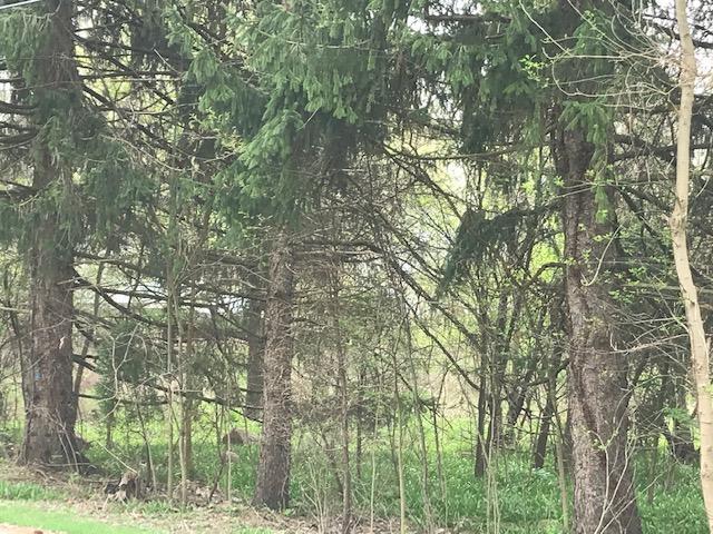 13436 Center Village Road Galena, OH 43021 - Photo 10 of 13