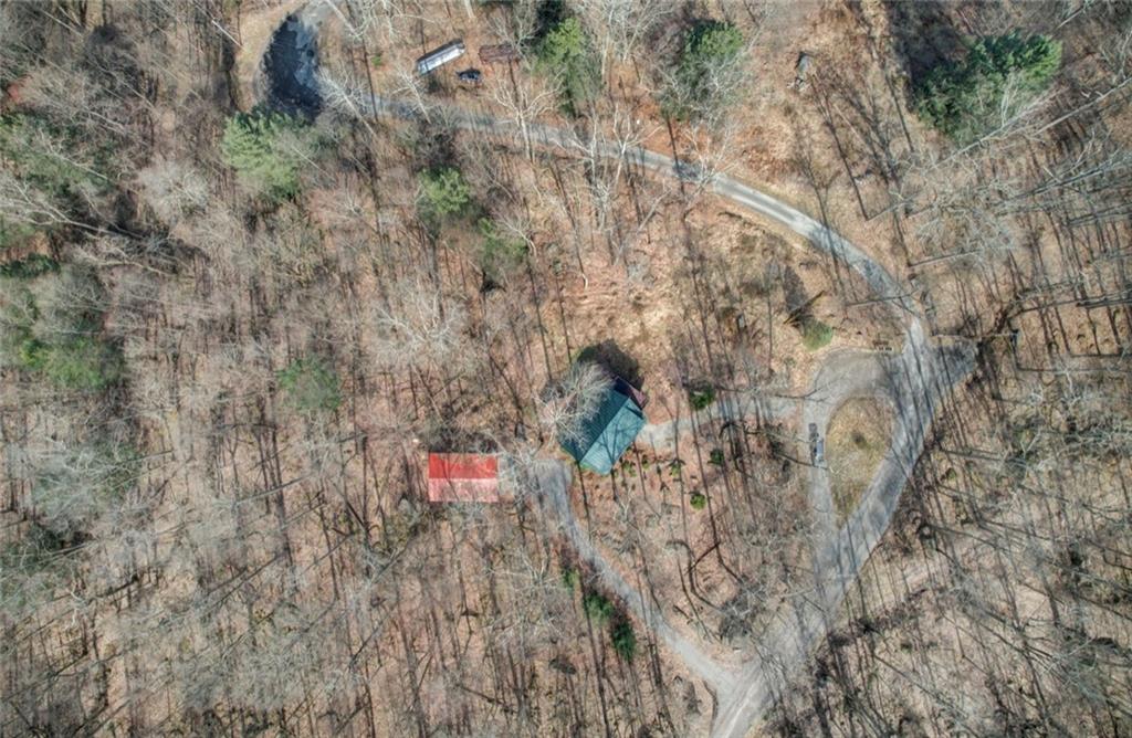 245 Silver Rock Road Adrian, PA 16210 - Photo 46 of 50 a close up of a tree