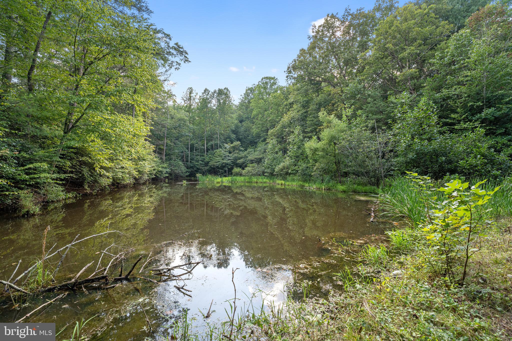 43 Briar Patch Lane Boston, VA 22713 - Photo 43 of 73 fishing pond
