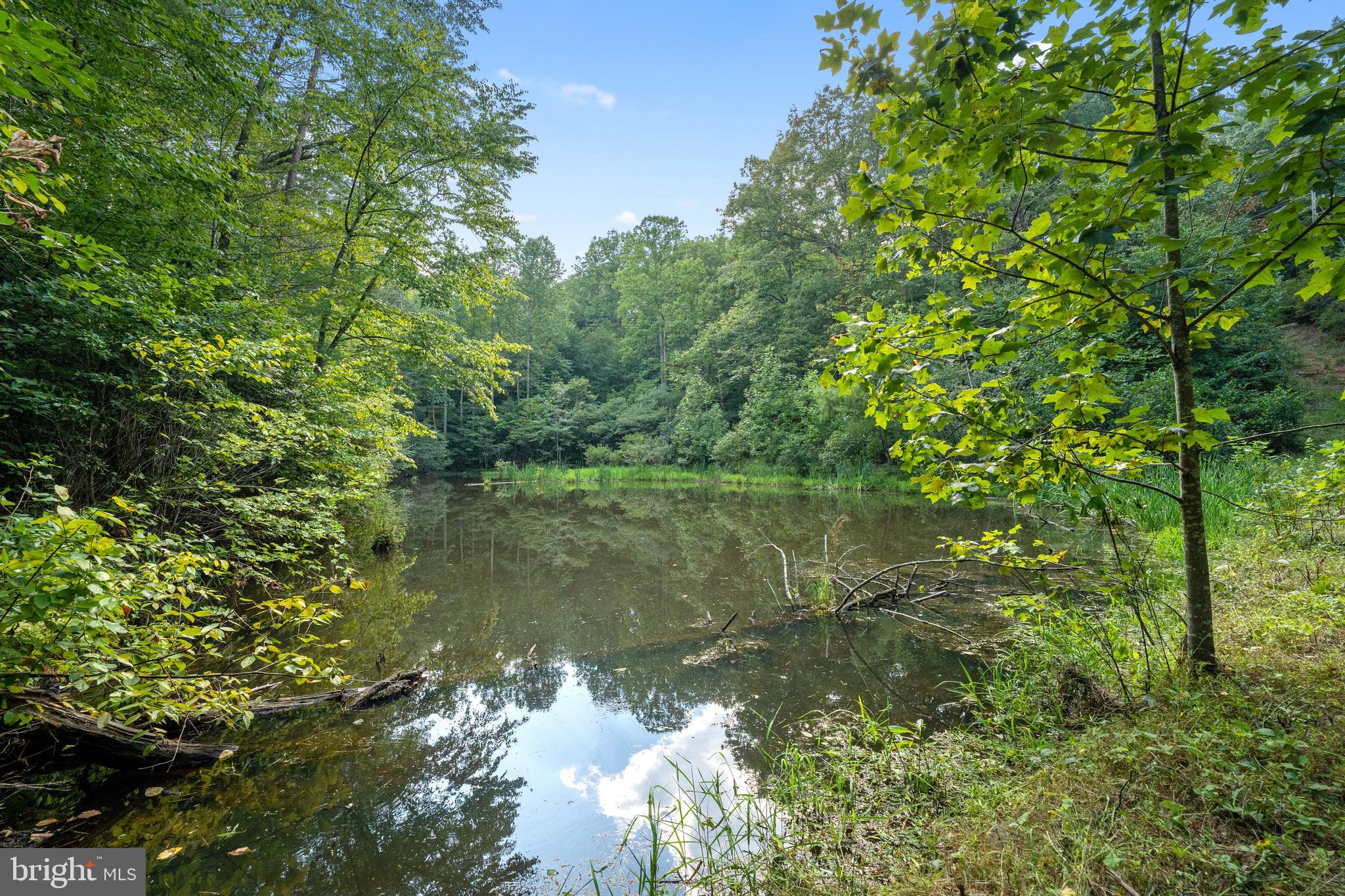 43 Briar Patch Lane Boston, VA 22713 - Photo 44 of 73 private
