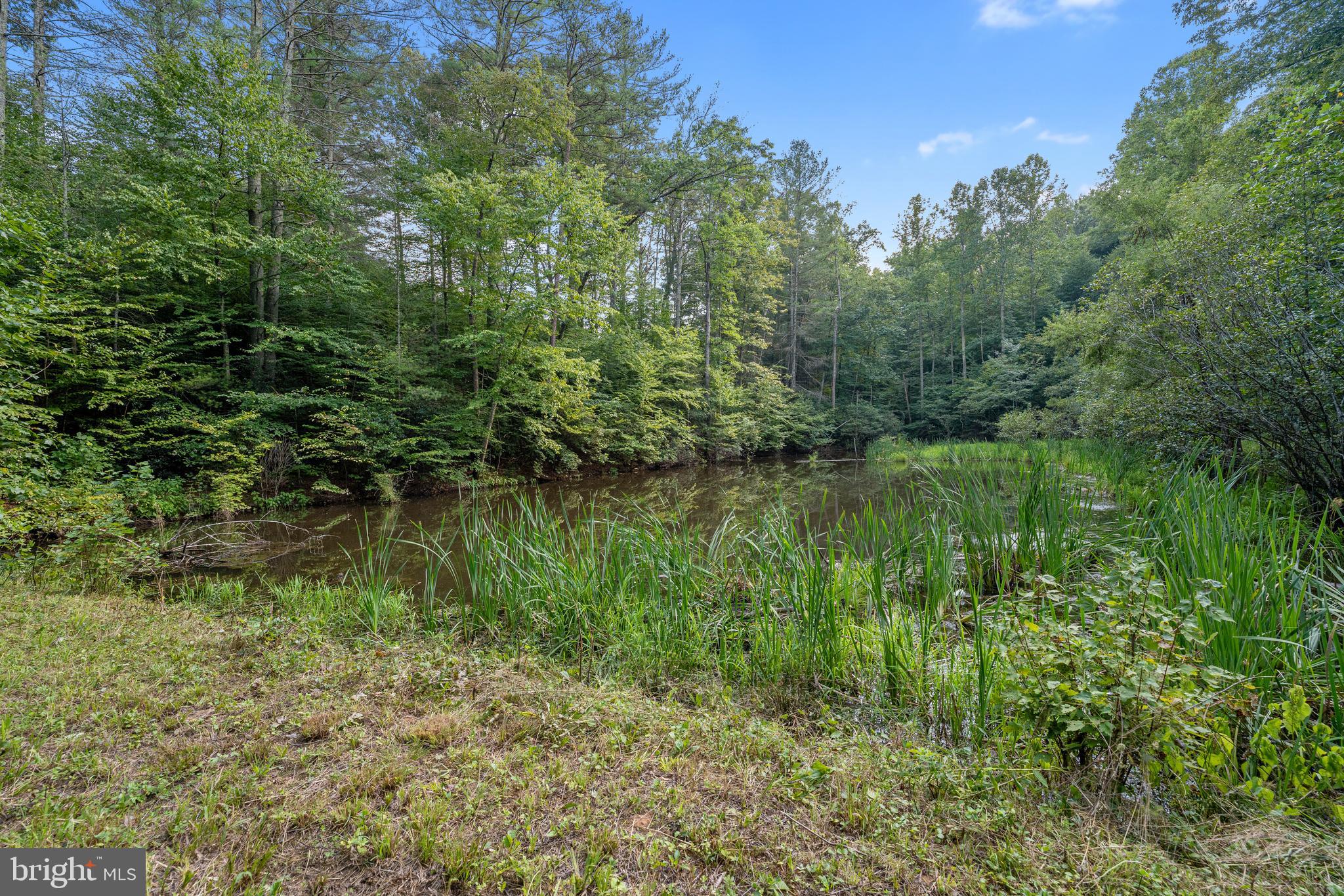 43 Briar Patch Lane Boston, VA 22713 - Photo 45 of 73 two ponds on property