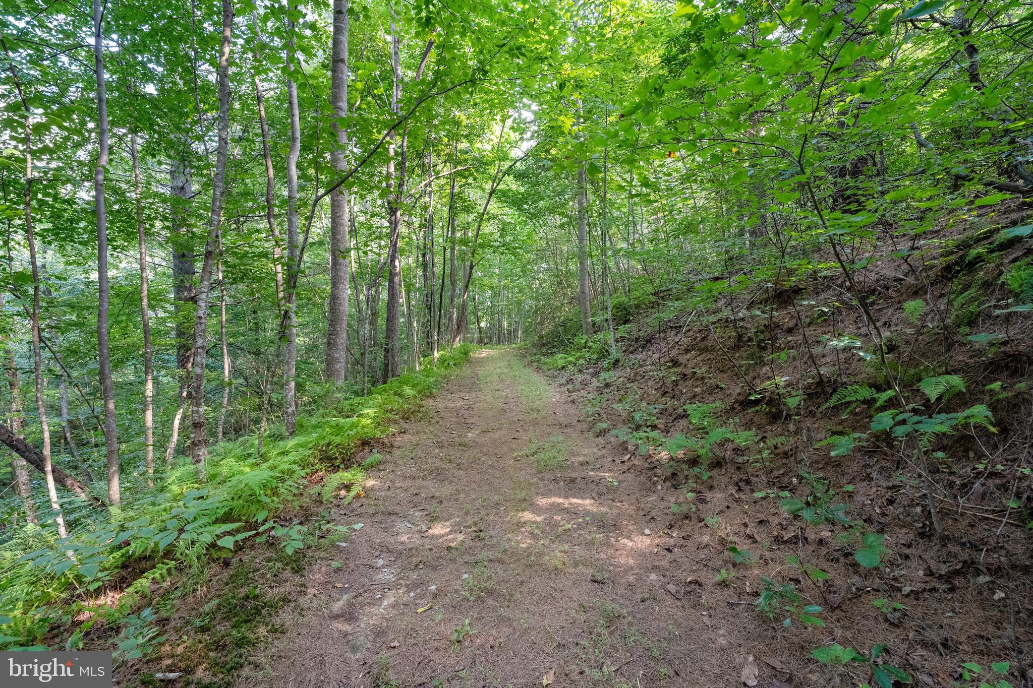 43 Briar Patch Lane Boston, VA 22713 - Photo 73 of 73 road to 2nd pond