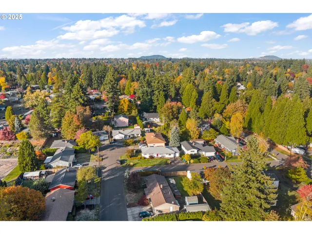 a view of city and mountain