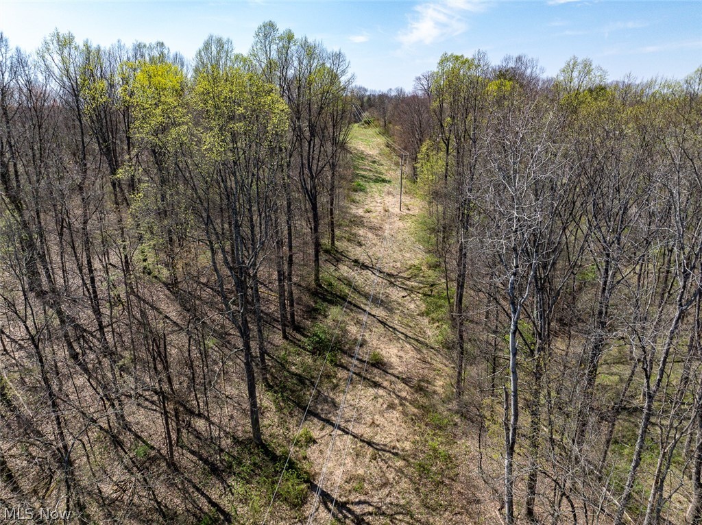 0 Twp Road Dexter City, OH 45727 - Photo 21 of 26