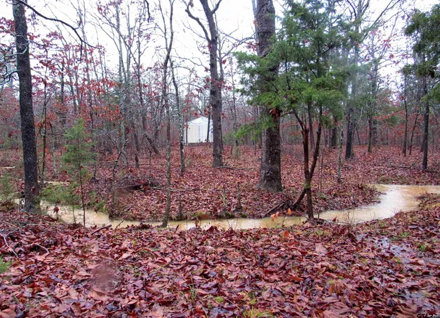 $279,000 | 1998 Christine Street, Blossom, TX 75416