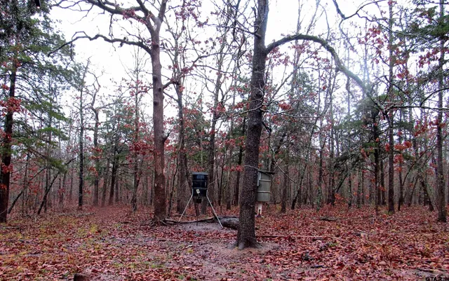 $279,000 | 1998 Christine Street, Blossom, TX 75416