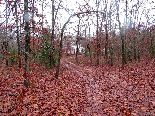 $279,000 | 1998 Christine Street, Blossom, TX 75416